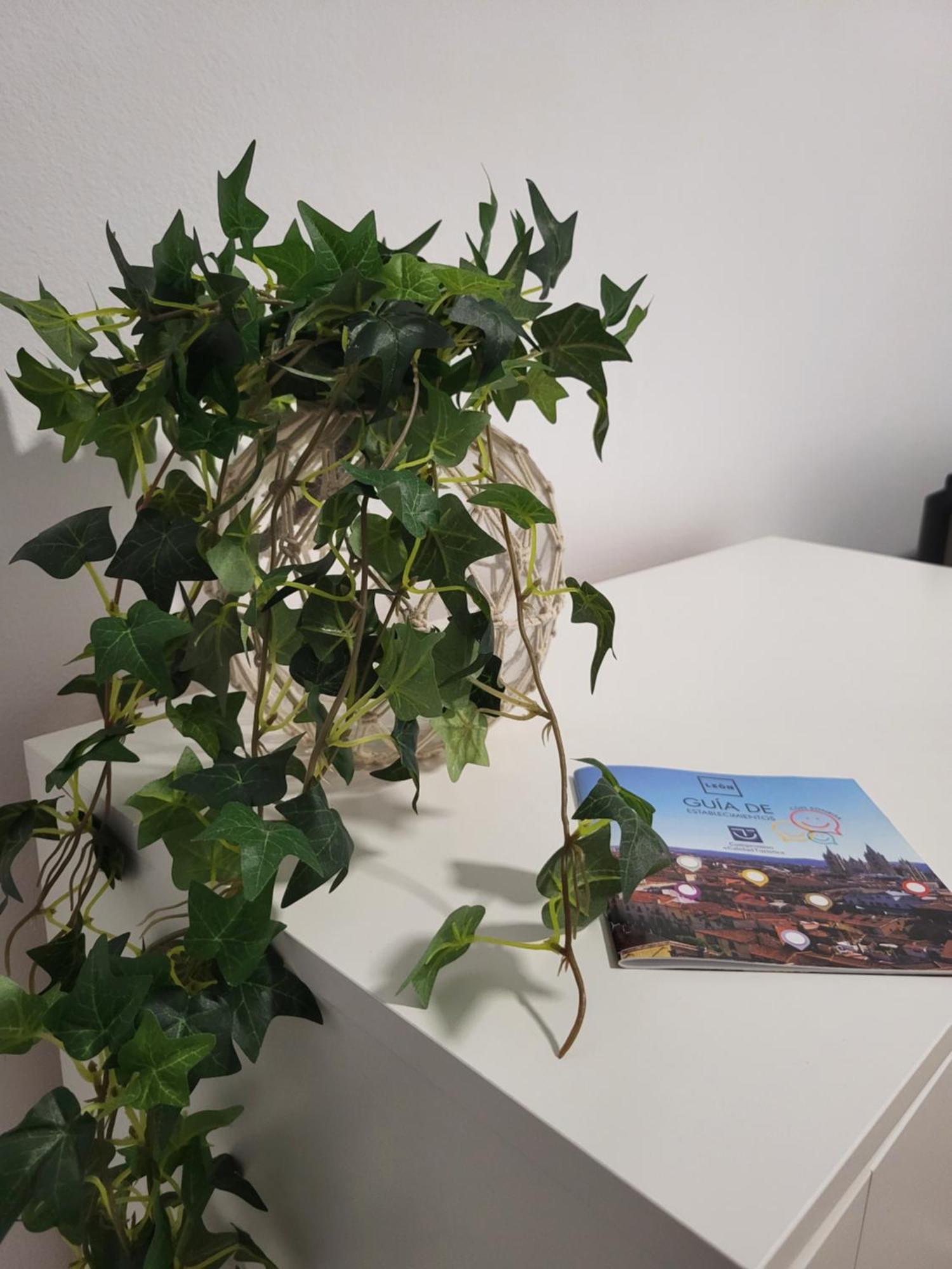 Apartament Catedral De Leon II Zewnętrze zdjęcie